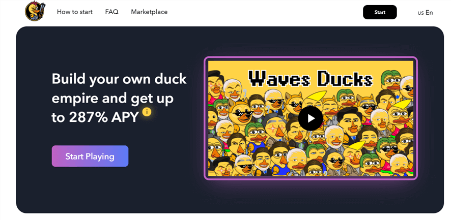 Waves Ducksの画像