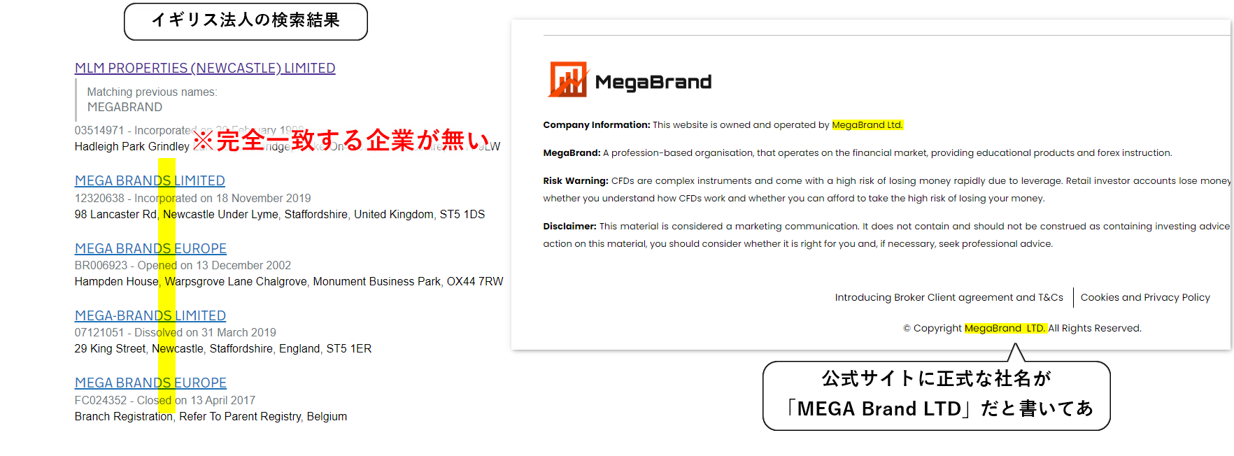 BitalphaAIの開発会社「MEGABrand」の法人情報