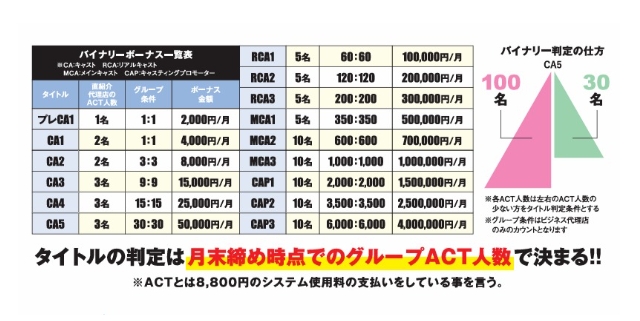 ネクストエイドのバイナリーボーナス